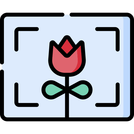 Macro photography photo edit tools icon