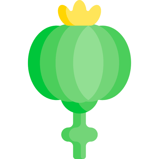 Opium medicine smoking opium icon