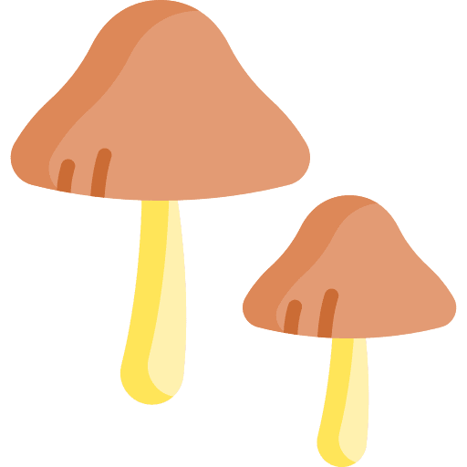 Mushroom muscaria miscellaneous mushroom icon