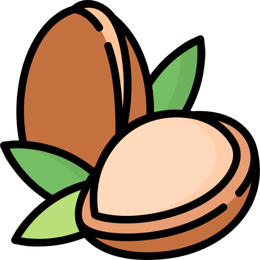 Argan nature fruit tree icon