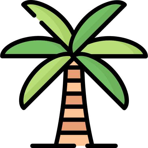 Palm tree coconut tree summer palm tree icon