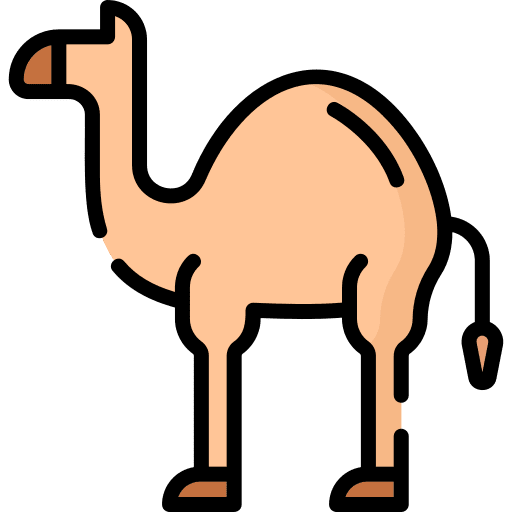 Camel wildlife camel fauna icon