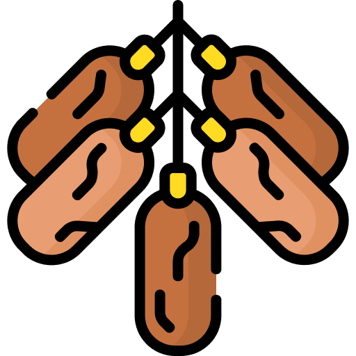 Dates vegan vegetarian diet icon