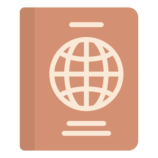 Passport passport identity paper icon