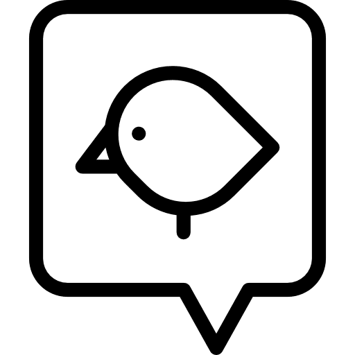 Twitter communication networking social network icon