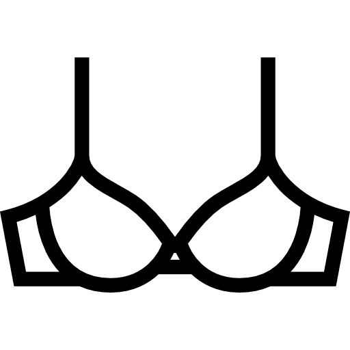 Bra clothing brassiere clothes icon