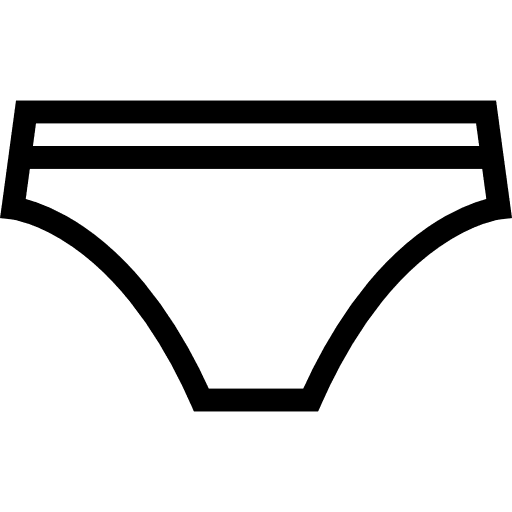 Panties femenine knickers underwear icon
