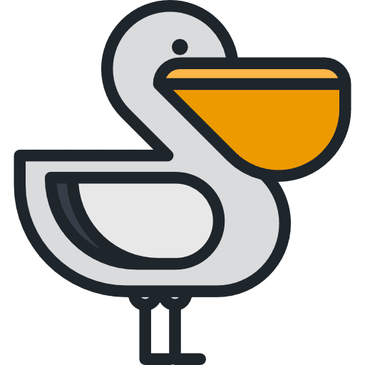 Pelican zoo animal kingdom animal icon