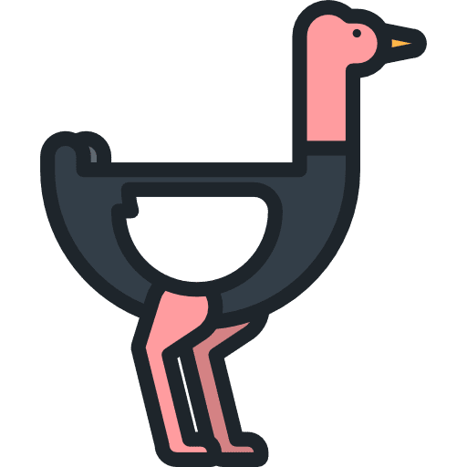 Ostrich ostrich animal kingdom animal icon