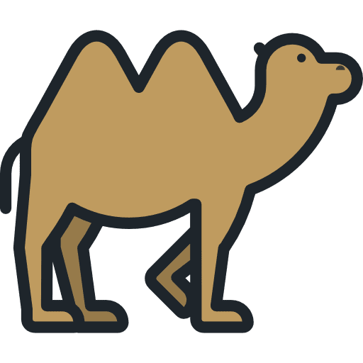 Camel animals zoo animal icon