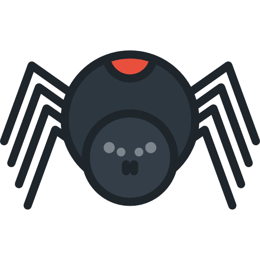 Spider animal kingdom insect arachnid icon