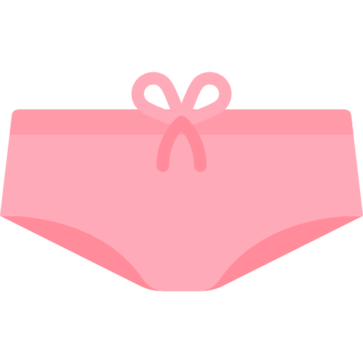 Panties underwear underpants femenine icon