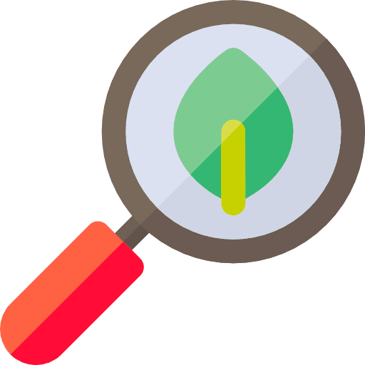 Search leaf zoom nature icon