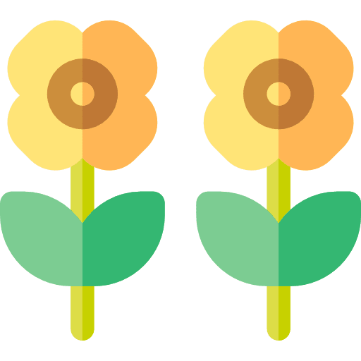 Sunflower blossom botanical nature icon