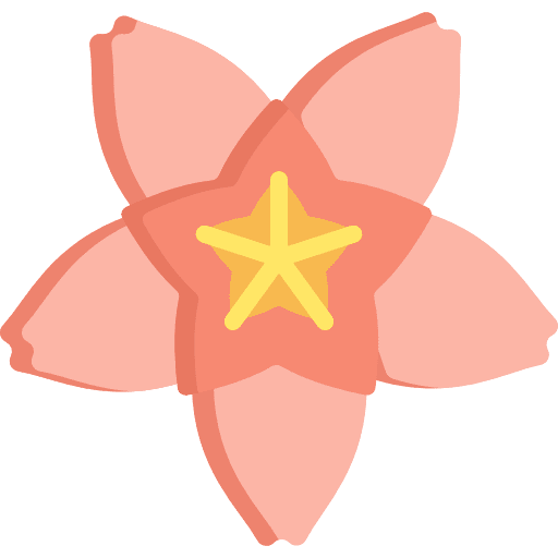 Cherry blossom floral spring plant icon