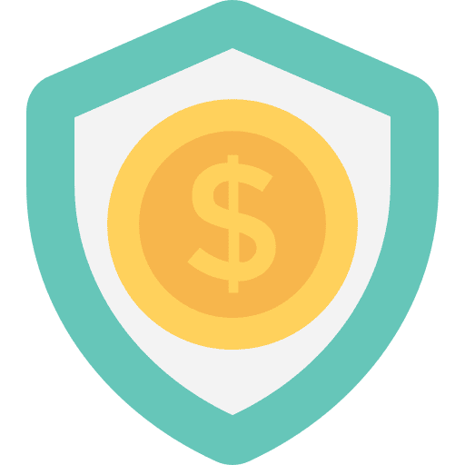 Shield coin security defense icon