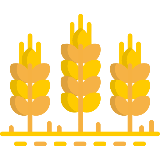 Wheat branch barley wheat icon