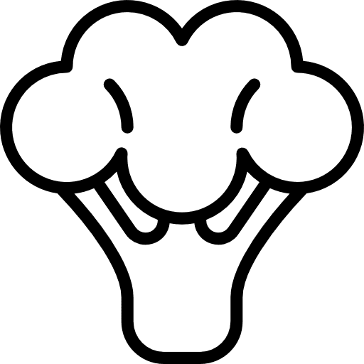 Broccoli vegetarian foods broccoli icon