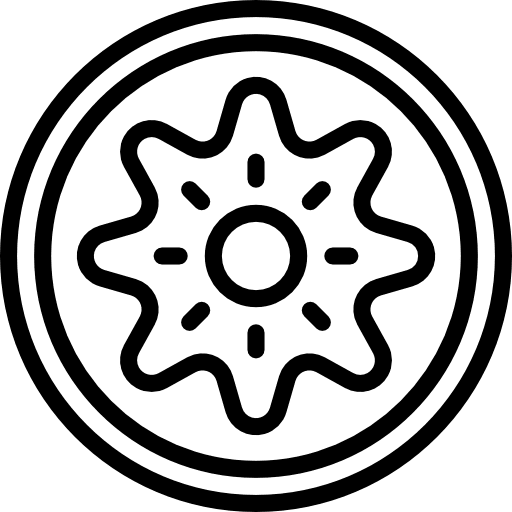 Kiwi organic food and restaurant vegetable icon