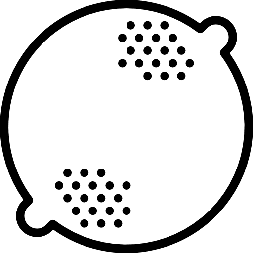 Lemon organic vegan lemon icon