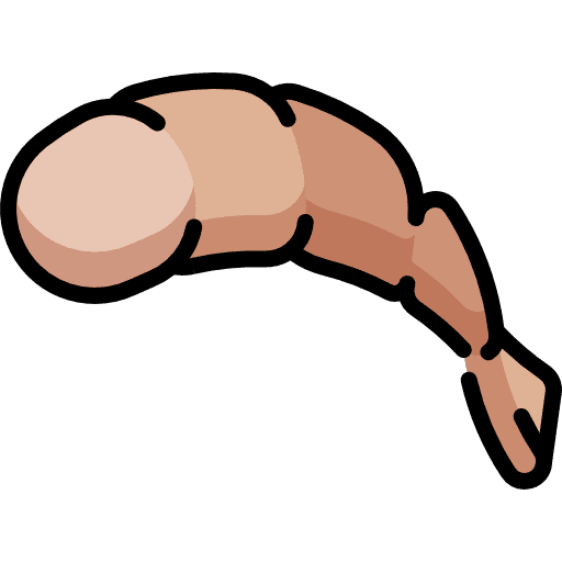Shrimp animal sea life shellfish icon