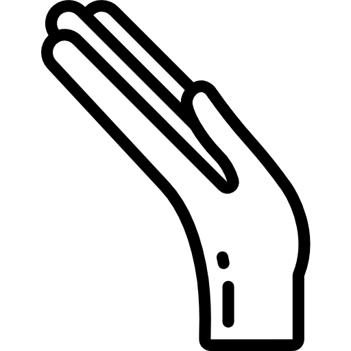 Hand body parts catch hold icon