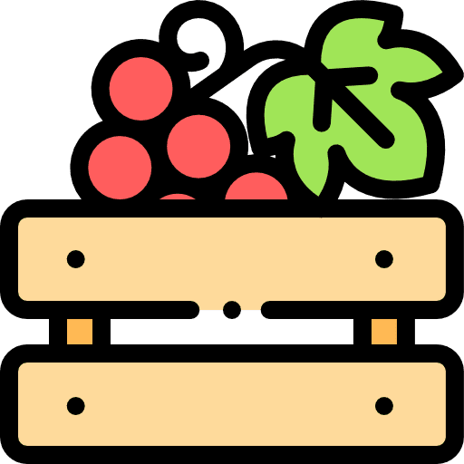 Grape grape healthy food organic icon