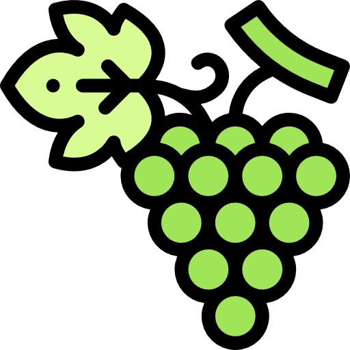 Grapes healthy food grapes fruit icon