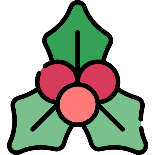 Mistletoe decoration ornament nature icon