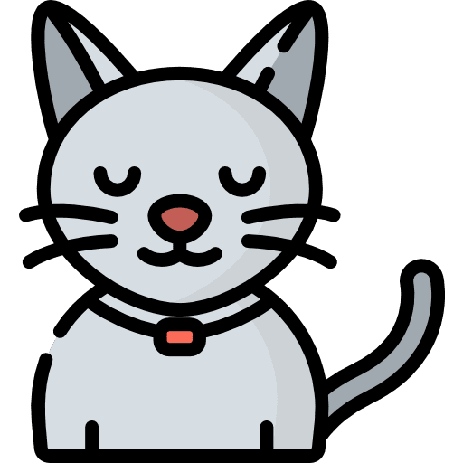 Cat animals mammal cat icon