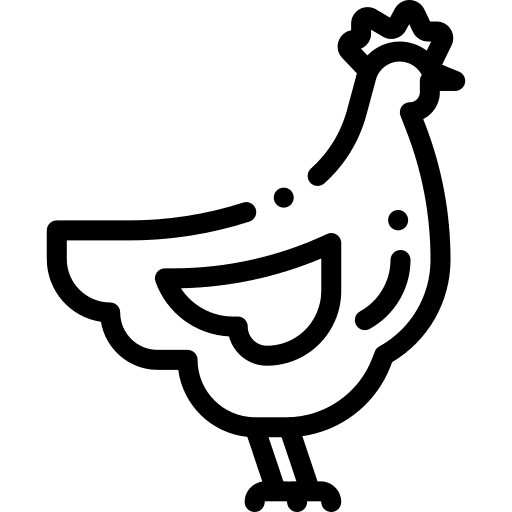 Chicken bird poultry chicken icon