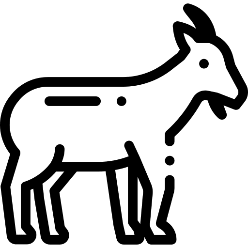 Goat wild life zoo goat icon