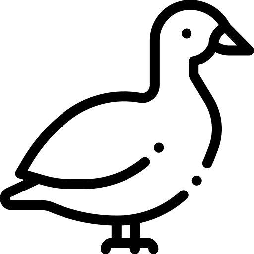 Duck animals avatar duckling icon