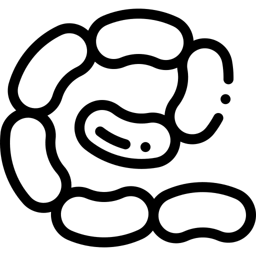 Sausage meat fried salami icon