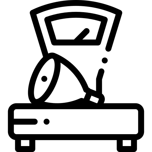 Scale food and restaurant weight scale food icon