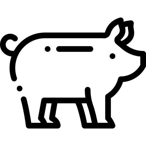 Pig mammal animal wildlife icon