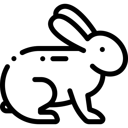 Rabbit rabbit bunny wild life icon