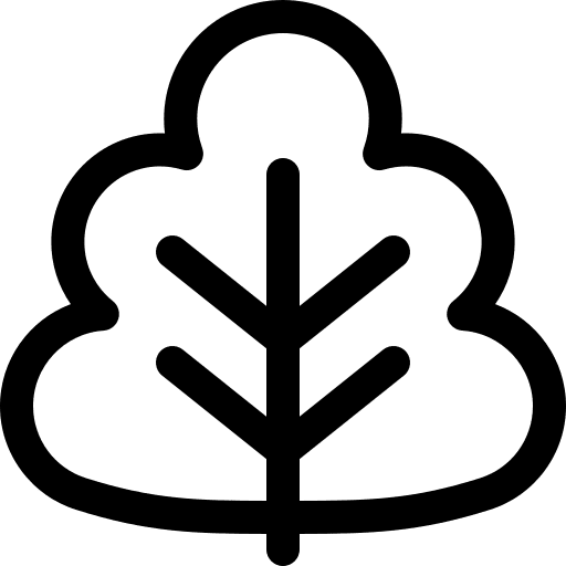 Vegetable salad food greens icon