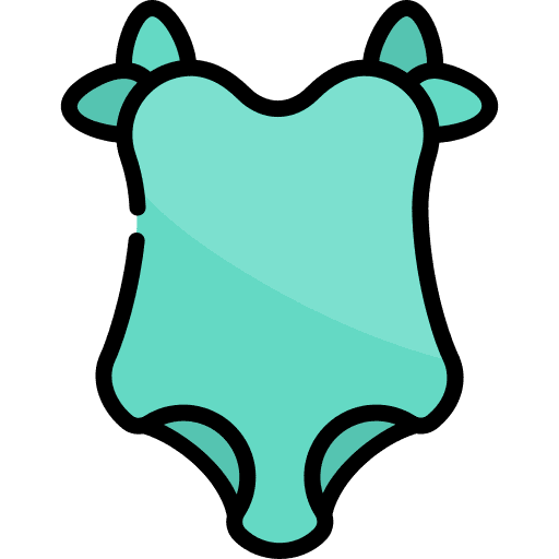 Swimsuit fashion swimsuit beach icon