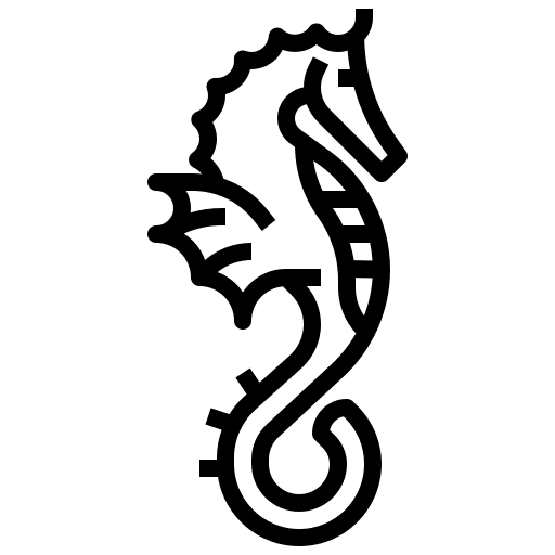Seahorse animal kingdom animals silhouette icon