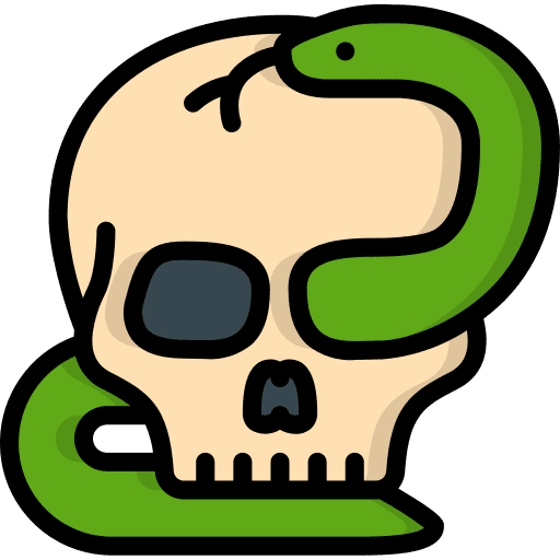 Skull skull vintage old school icon