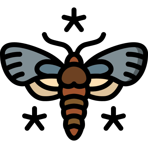 Moths moth entomology butterfly icon