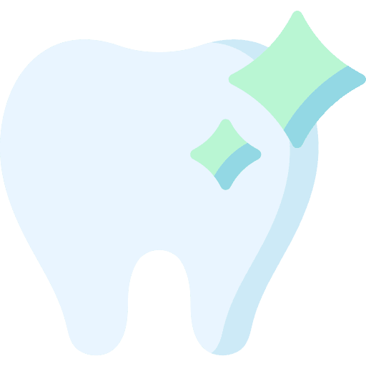 Teeth premolar molar clear icon