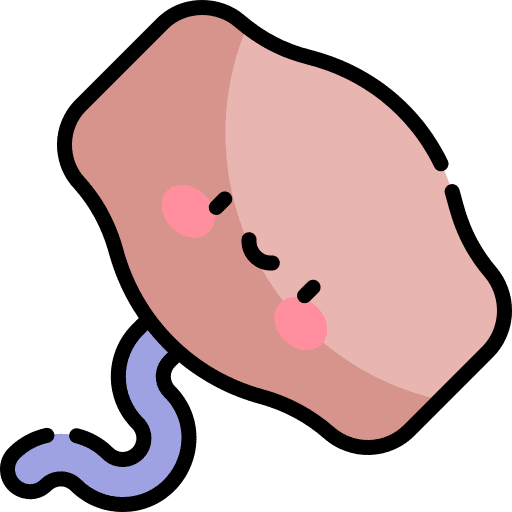 Corkscrew bottle opener tools and utensils bottles icon