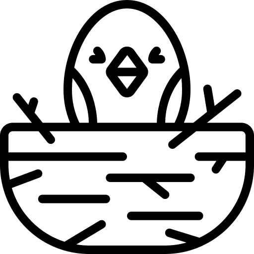 Chick chick wildlife animals icon