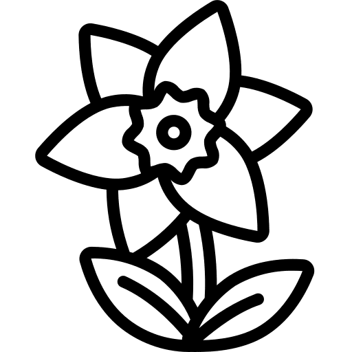 Daffodil petals botanical blossom icon