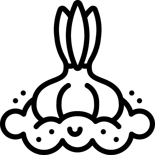 Garlic clove garlic vegetarian garlic icon