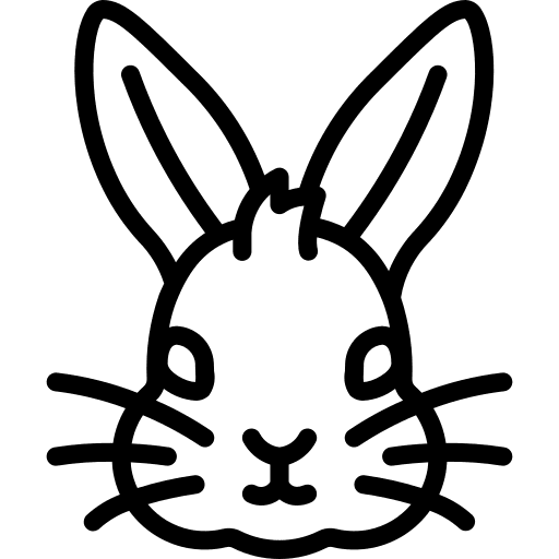 Rabbit animals bunny fluffy icon