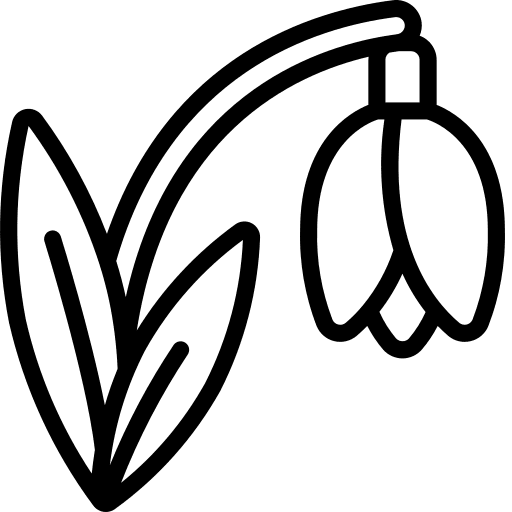 Snowdrop botanic plant flower icon