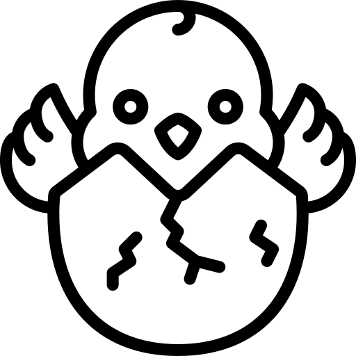 Chick chick nature spring icon